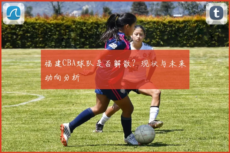 福建CBA球队是否解散？现状与未来动向分析