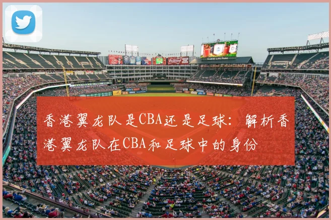 香港翼龙队是CBA还是足球：解析香港翼龙队在CBA和足球中的身份