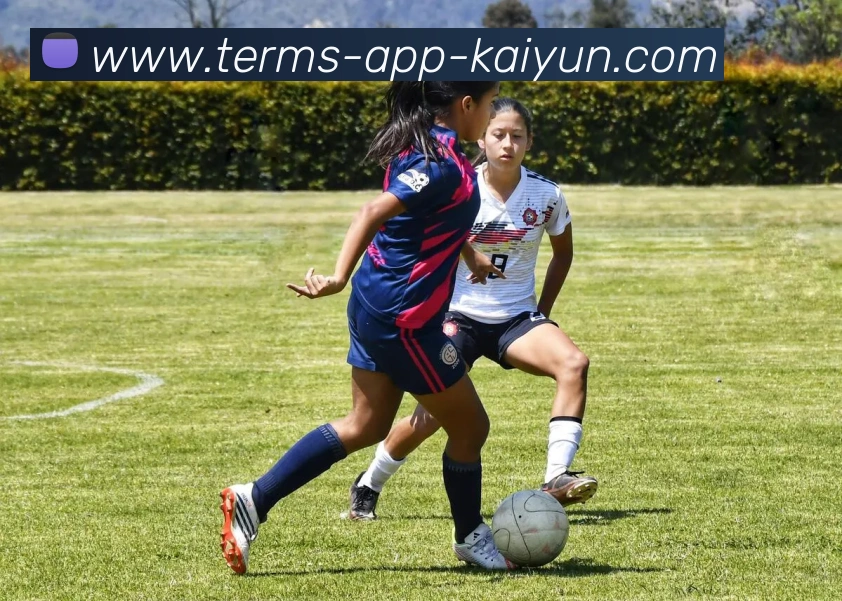 开云appAPP 封面图